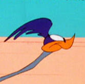 Road Runner (Looney Tunes)