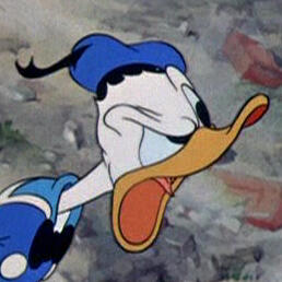 Donald Duck
